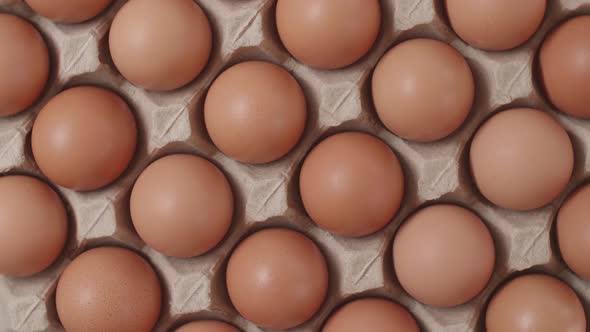 Top View Of Fresh Chicken Eggs In The Egg Storage Box