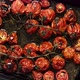 Tray of Roasted Red Cherry Tomatoes with Garlic Herbs and Olive - VideoHive Item for Sale