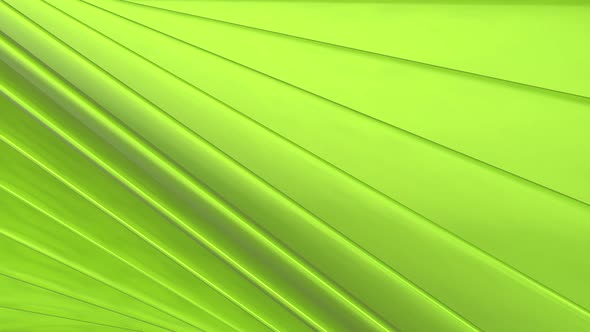 Green Static Background