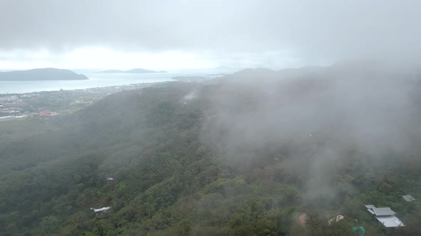 Tropical Forest Clouds Sea and City