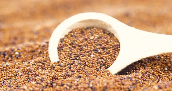 Brown Raw Canihua in Wooden Spoon Close Up, South American Grain