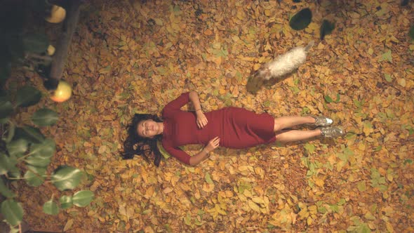 Girl and Dog among Yellow Leaves