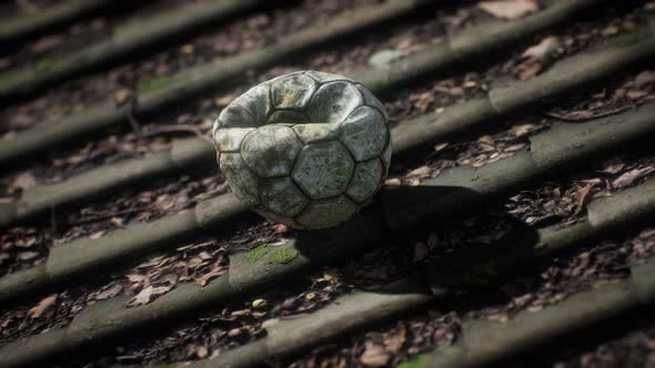 Old Soccer Ball on the Roof of a House