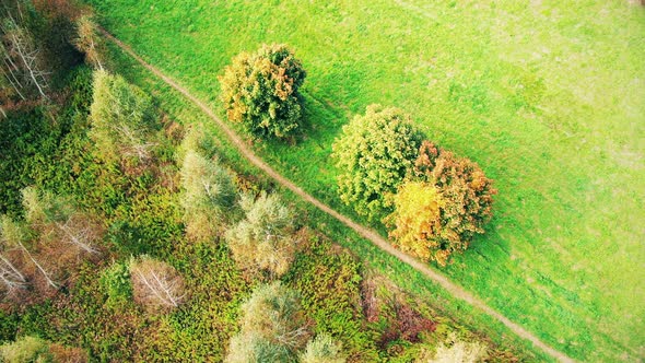 Aerial Top View Over Straight Road With in Colorful Countryside Autumn Forest. Aerial View Above Roa