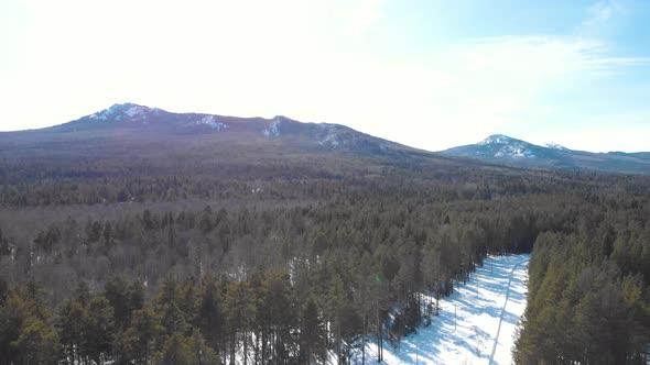 Dense Forest And Mountains