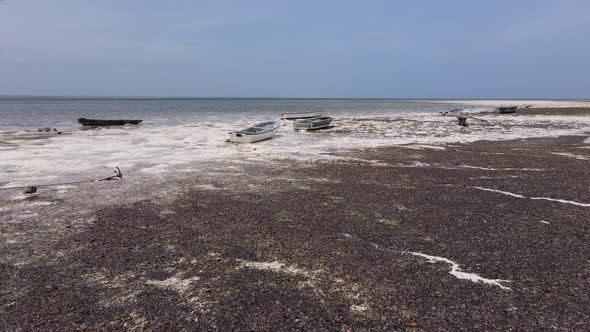 Shore of Zanzibar Island Tanzania at Low Tide