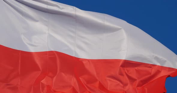 The national polish flag waving in the wind.