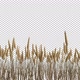 Wheat - VideoHive Item for Sale
