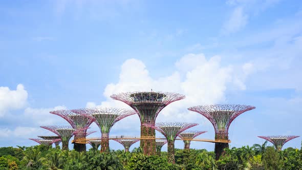 4k Time-lapse of Gardens by the bay with blue sky at Singapore