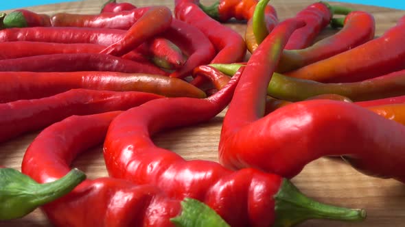 Red Chili Pepper 3