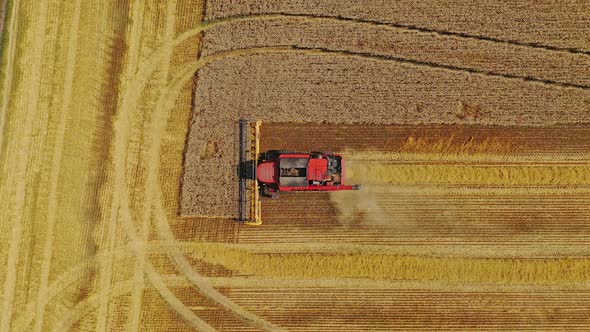 Aerial view of combine harvester working on the field. Top view of agricultural machine