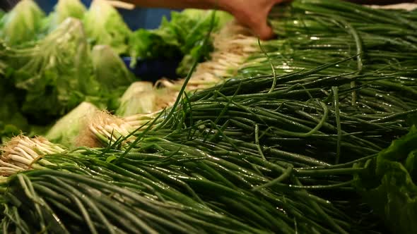 Vegetable market