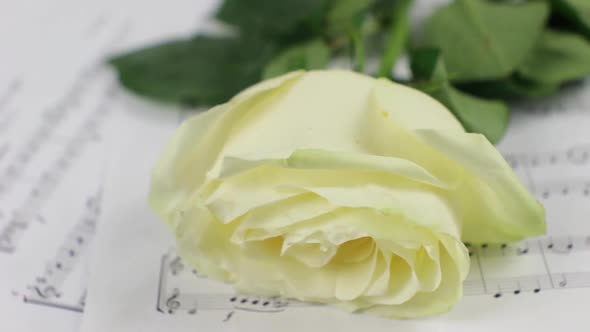 White Rose And Sheet Music Rotating