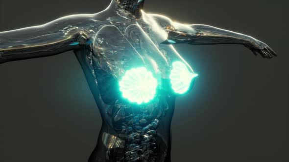 Science Anatomy of Human Body with Glow Mammary Gland alt