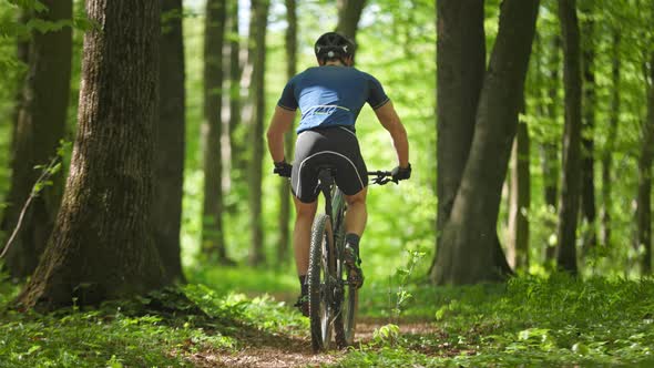 A Man on a Bicycle is Riding Along a Forest Path