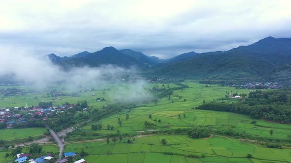 Aerial view drone flying over the paddy rice fields with Nature in morning and fog.