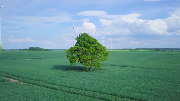 Aerial view of wind turbines generating renewable energy in the wind farm, sunny summer day, lush gr