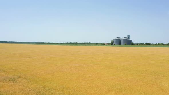 Modern Grain Silos At The Field Of Golden Wheat 3