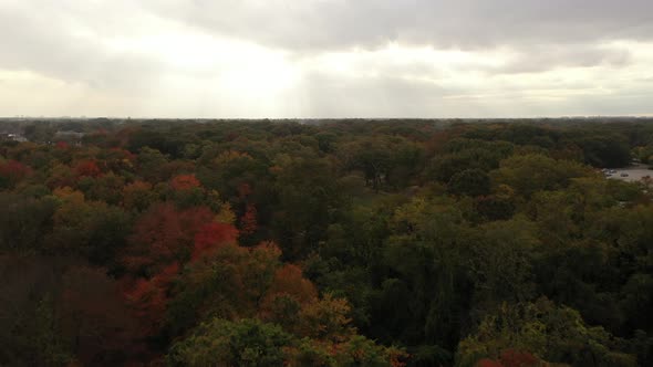 An aerial shot taken directly over colorful tree tops at the start of the fall season. The drone cam