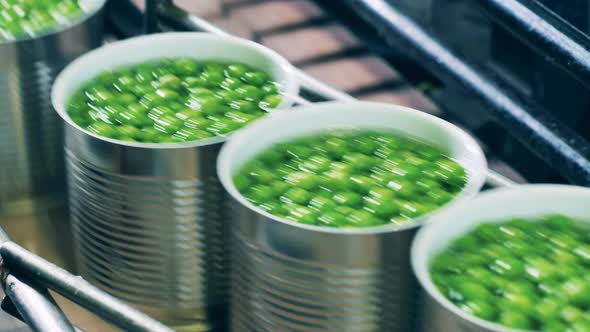 Tin Cans Filled with Peas Are Moving Along the Factory Conveyor