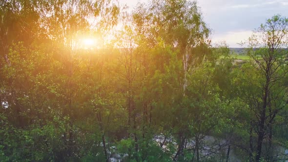 Aerial View Beautiful Nature Landscape in Sunset