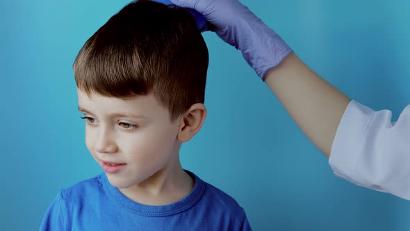 The pediatrician in the gloves will check the presence of lice and nits in a small child 