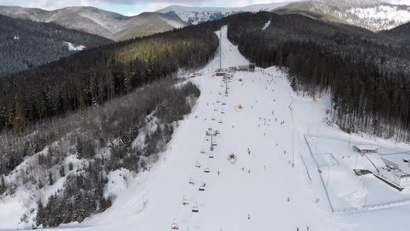 Aerial Ski Slopes with Skiers on Ski Resort. Snowy Mountain Fir Forest. Bukovel