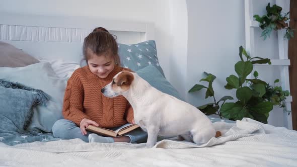 Girl in a Knitted Sweater Sits in a Cozy Bedroom Reading a Book with Her Beloved Little Dog Jack