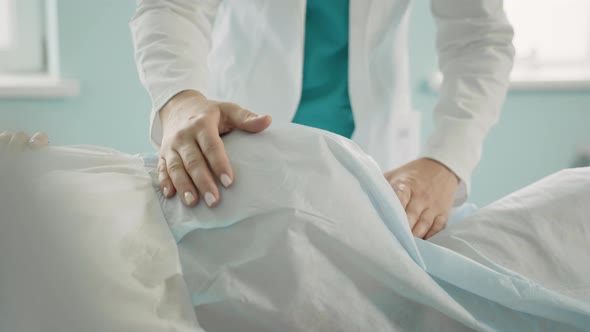 Gynecologist Palpating Tummy of Pregnant Woman