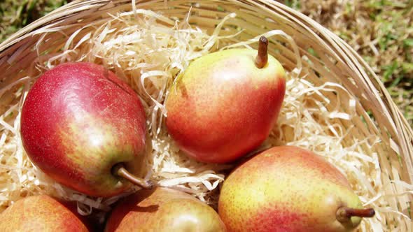 Close up of eight pears