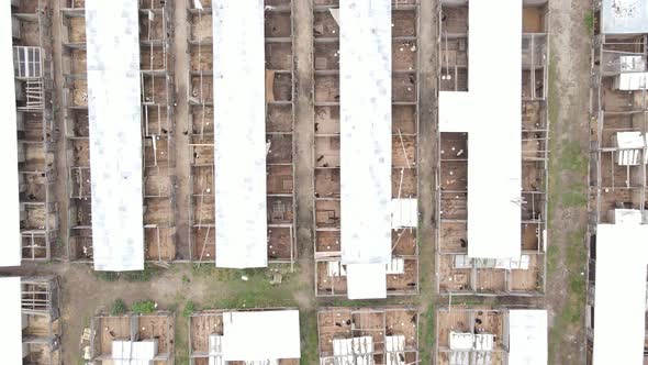 Dogs at the Shelter. Aerial View Slow Motion