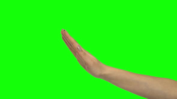 Hand of Girl Is Gesturing Stop. Chroma Key. Close Up