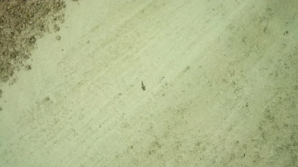 Drone footage of a shark at Cocos Island, Australia