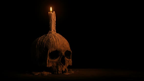 Passing Old Skull With Melted Candle