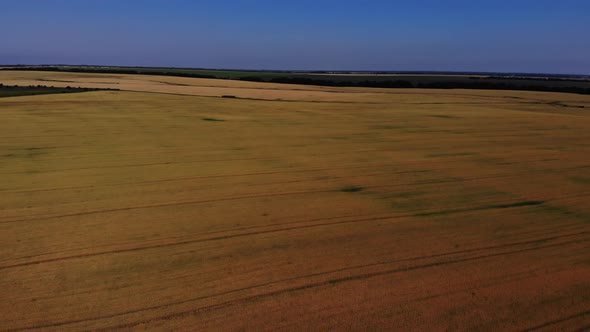 Aerial view of the wheat fields.
