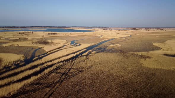 Aerial view of the lake overgrown with brown reeds, lake Pape nature park, Rucava, Latvia, sunny spr