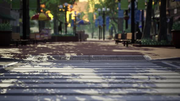 Quiet City Park with Trees and Benches