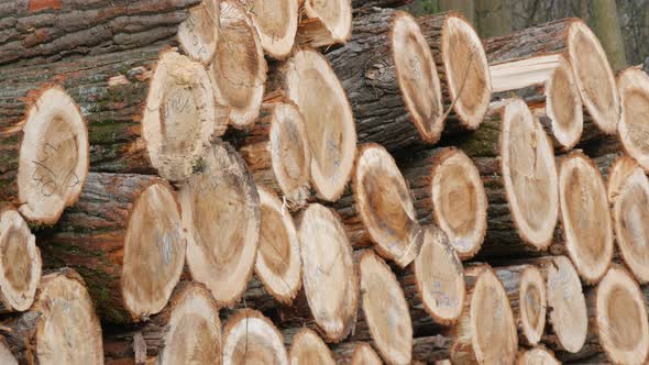 A Stack of Logs