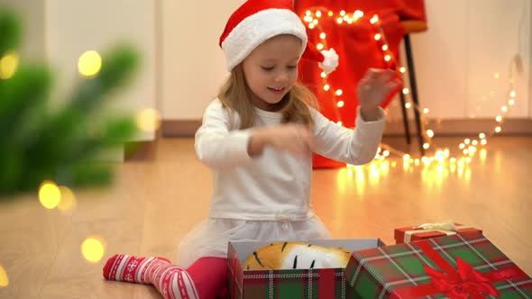 Happy Little Child Opens Gift Box and Gets Out Toy Tiger Next to Christmas Tree