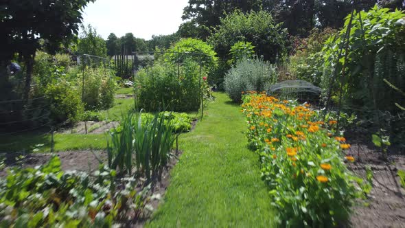 Kitchen garden, vegetable garden Aerial