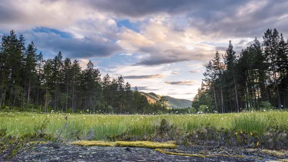 Timelapse of forest and clouds near Dalen, Vestfold, Norway