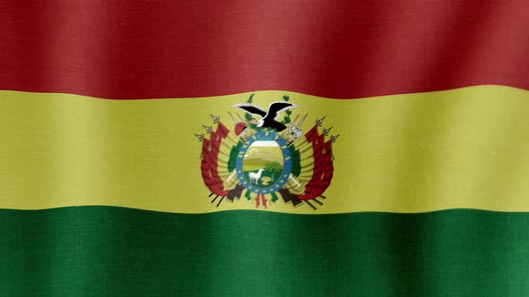 The National Flag of Bolivia
