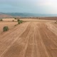 Aerial View Of Crop Field - VideoHive Item for Sale