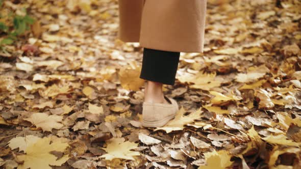 Legs of Woman Walking in Autumn Park