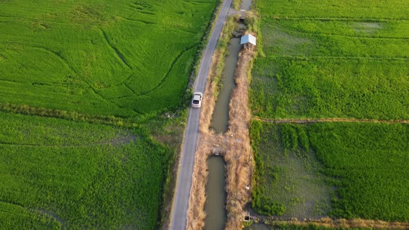 Car with Paddy Field