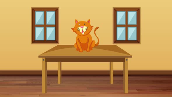 Cat animation