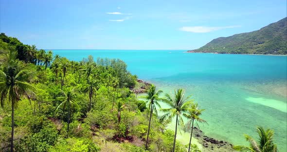 Aerial Shot of Beautiful Beach and Trees in Chaloklum Koh Phangan Thailand