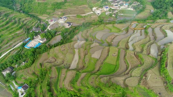 Aerial View of Green Terraced Rice and Field Farms in Poor Village in China, Asia.