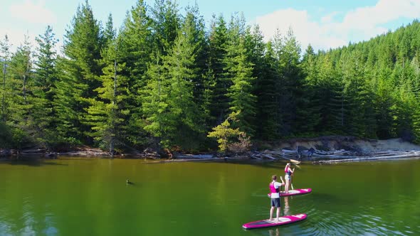 Couple rowing a stand up paddle board in the river 4k