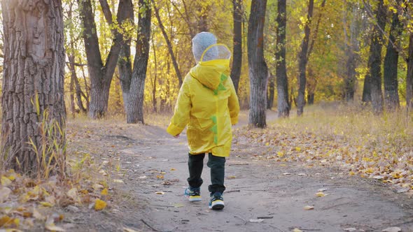 A Little Boy Playing in Autumn Park.